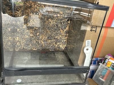 Zoomed tank