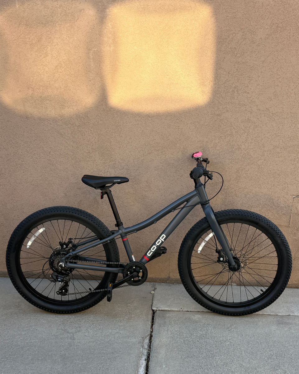 REI Co-Op Kids Bike