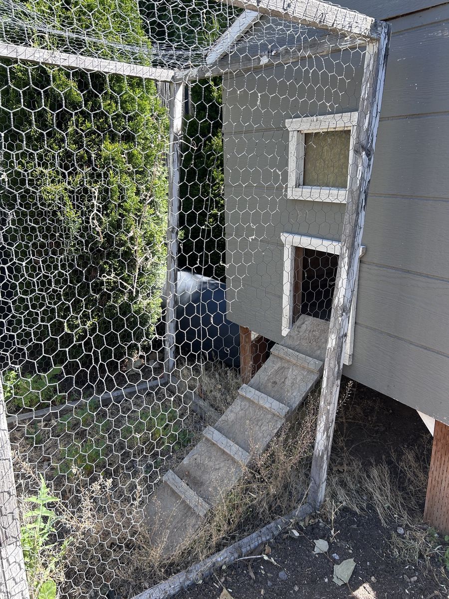 Chicken Coop-Large and cute