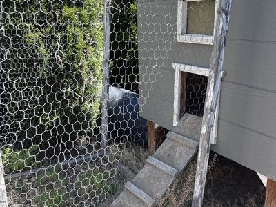 Chicken Coop-Large and cute