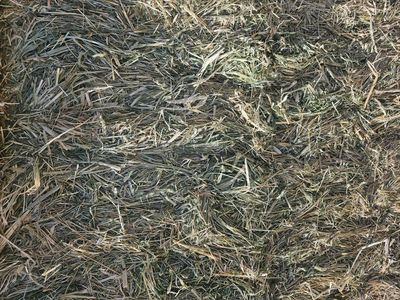 alfalfa/grass/mix