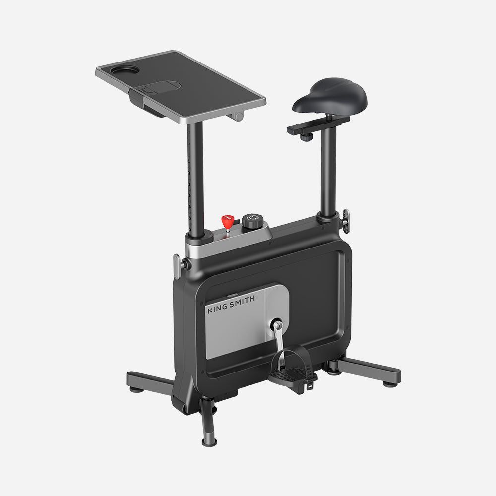 KINGSMITH exercise bike