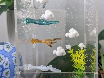 Jumping spider enclosure and accessories. No spider