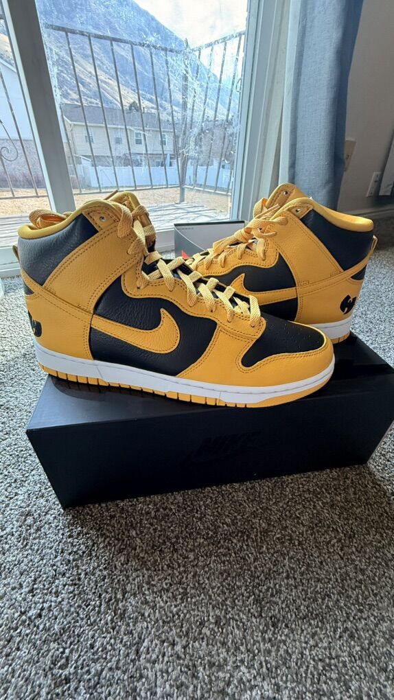 Nike Dunks Wu-Tang 10.5