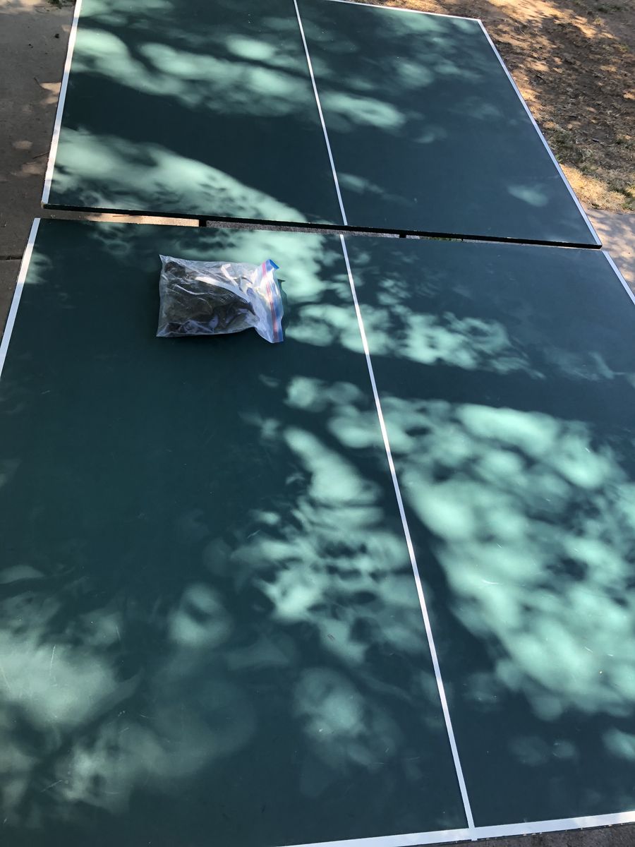 Ping Pong Table