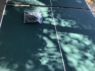 Ping Pong Table