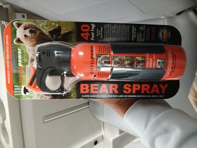 BEAR DETERGENT