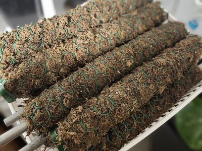 Premium 12" Moss Pole – Adjustable Core