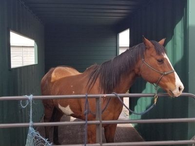 Shipping Containers New And Used 20S And 40S
