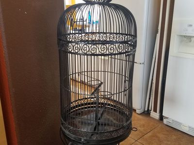 Large Vintage Wrought Iron Bird Cage