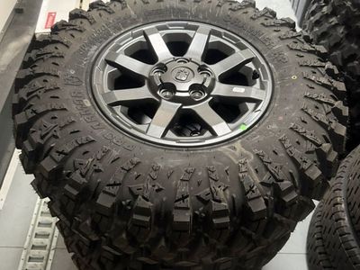 Brand New Polaris Xpedition Takeoffs