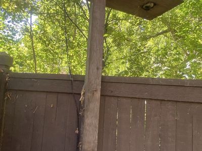 DIY Wooden Outdoor Post Bird Feeder