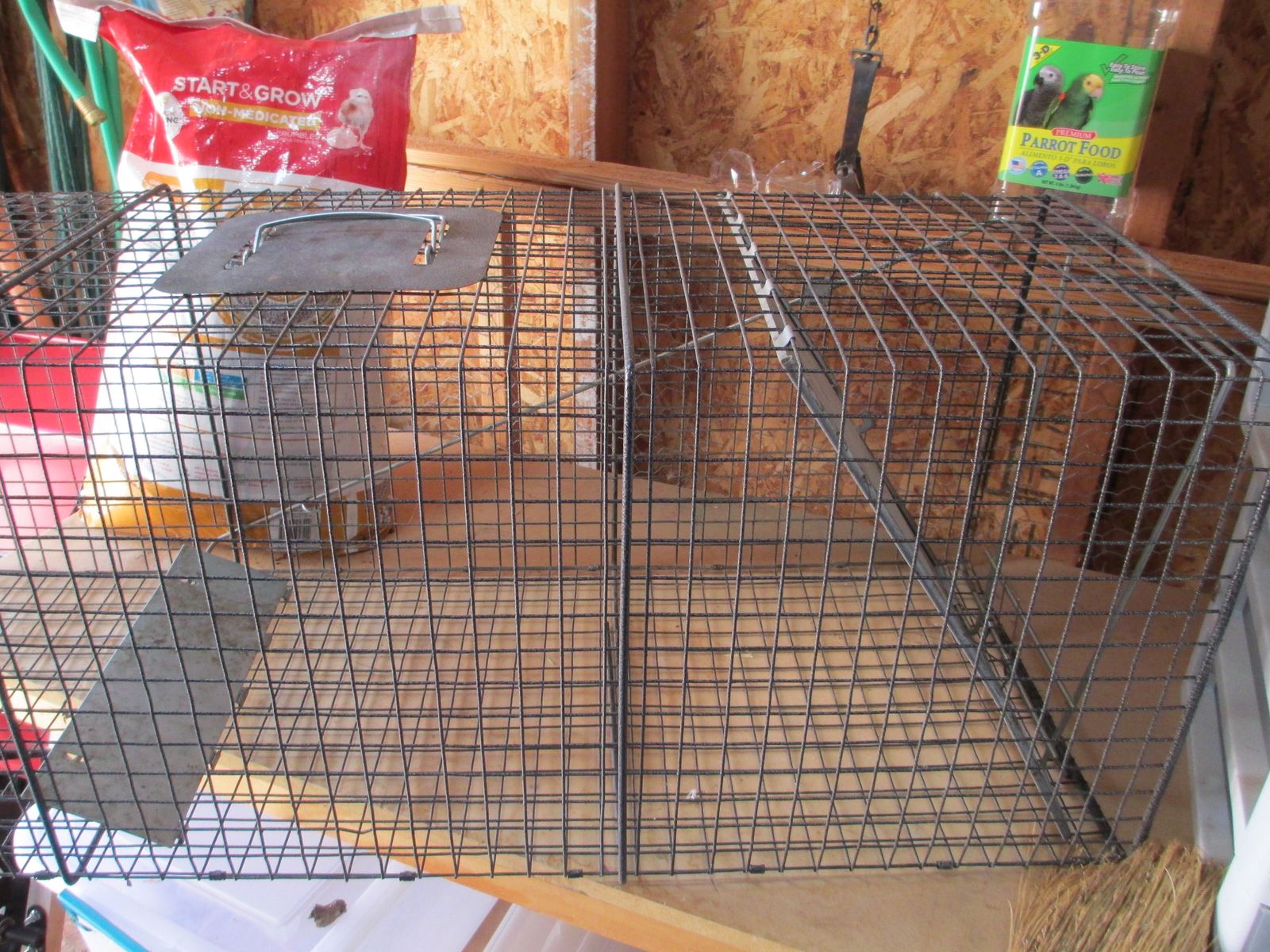 Professional cage live trap