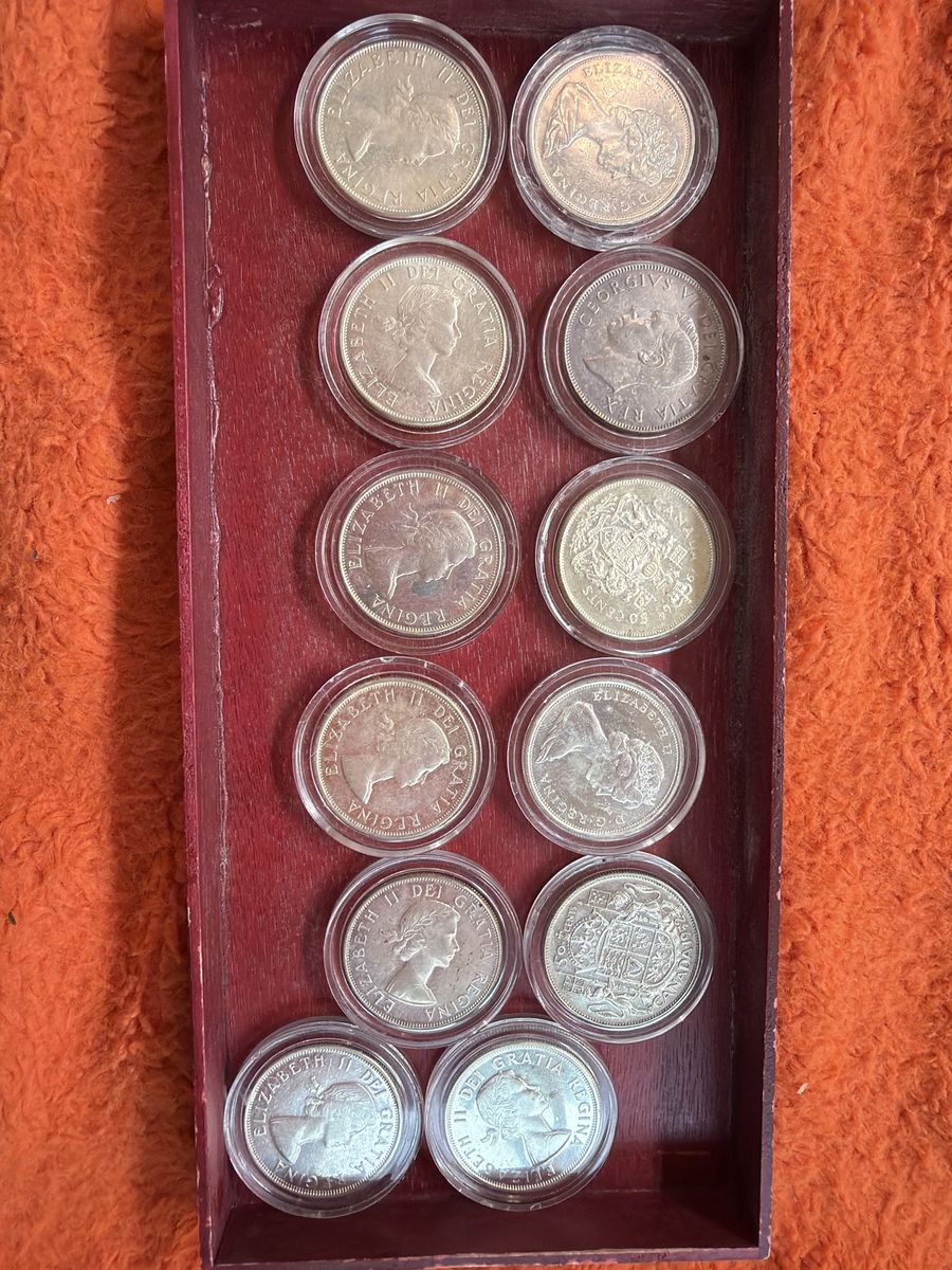 Canadian constitutional silver