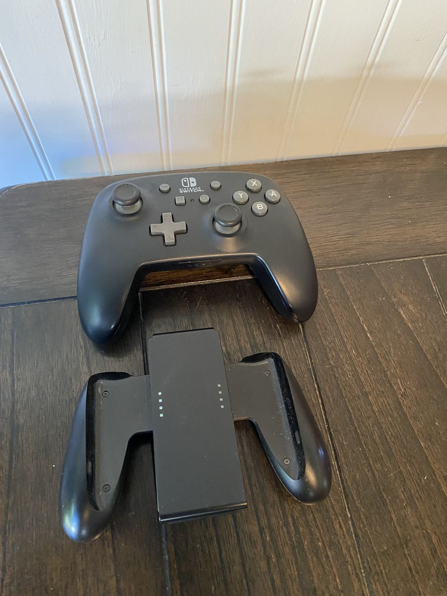 2 Nintendo OLED Controllers