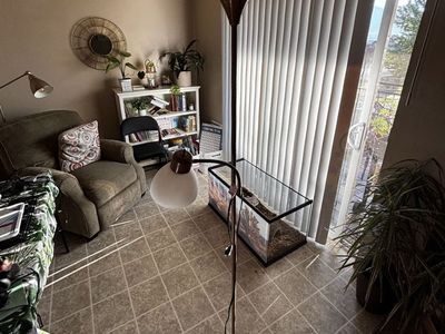 Floor Lamp with Side Reading Light and Frosted Glass Shades