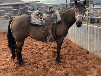 Project mare