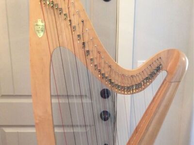 Lever Harp for Rent