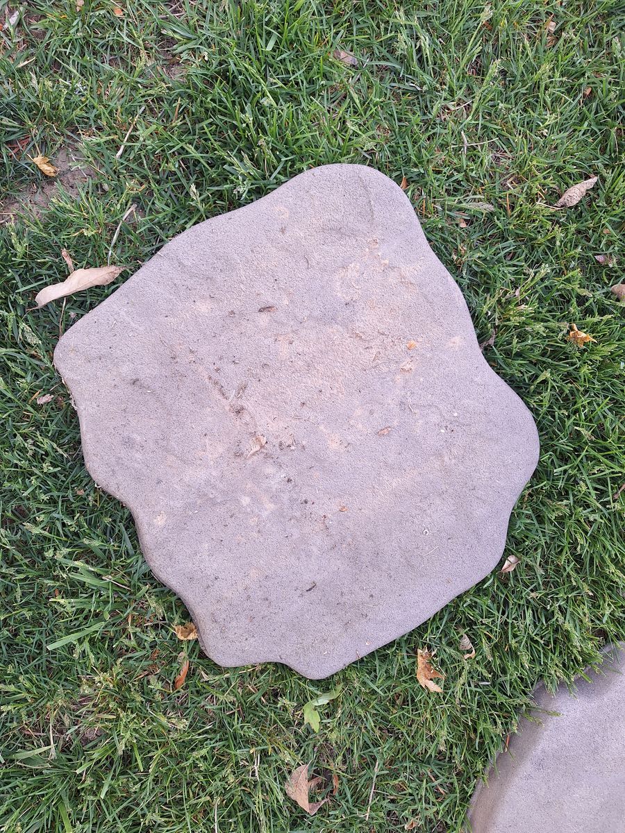 Main image 2