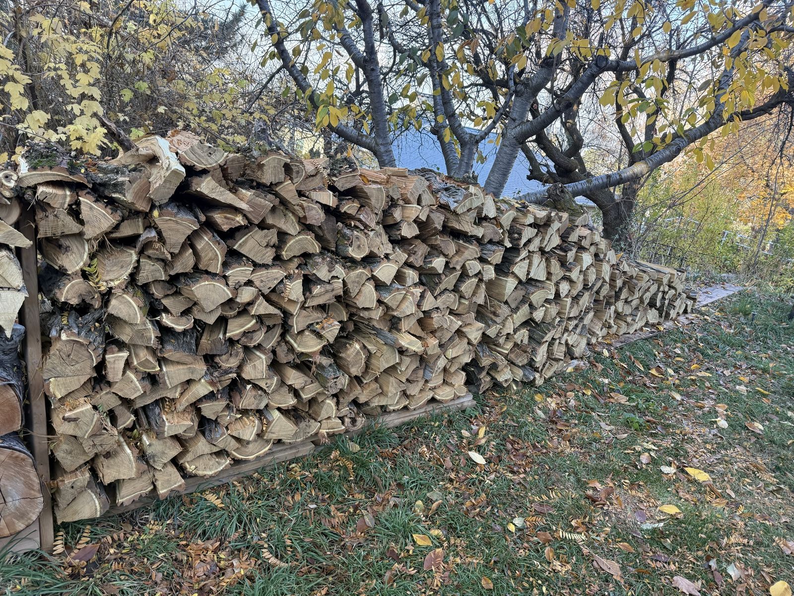 Only the best firewood