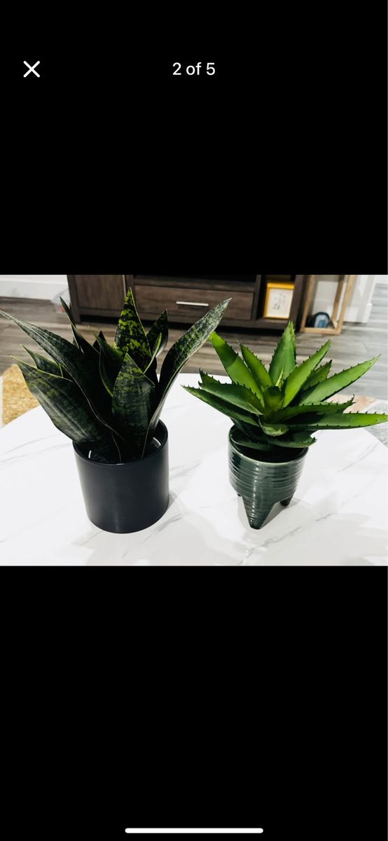 2 Faux Plants with Decorative Pots