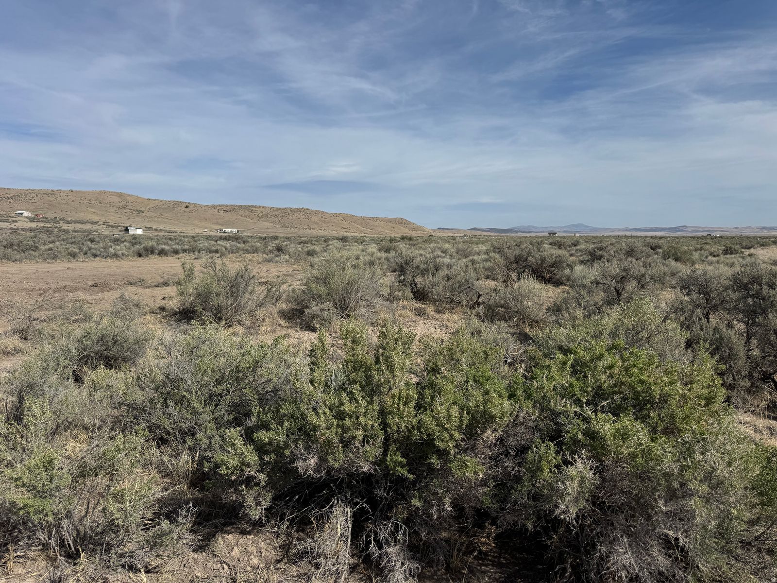 Main image 6