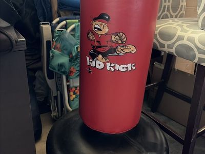 Kids Punching Bag