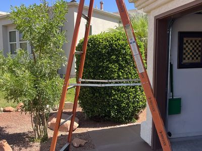 Ladder