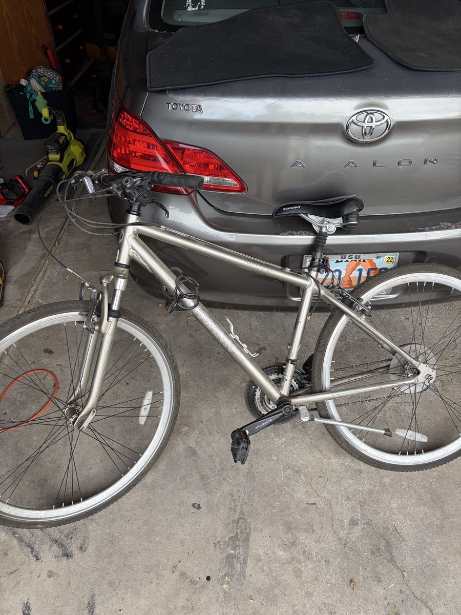 Adult Schwinn bike