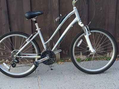 2010 Giant Sedona DX women's bike