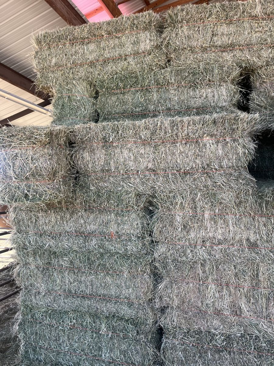 Feeder Hay