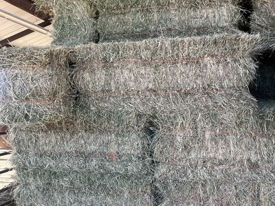 Feeder Hay
