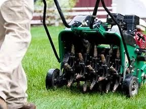 Lawn Aeration