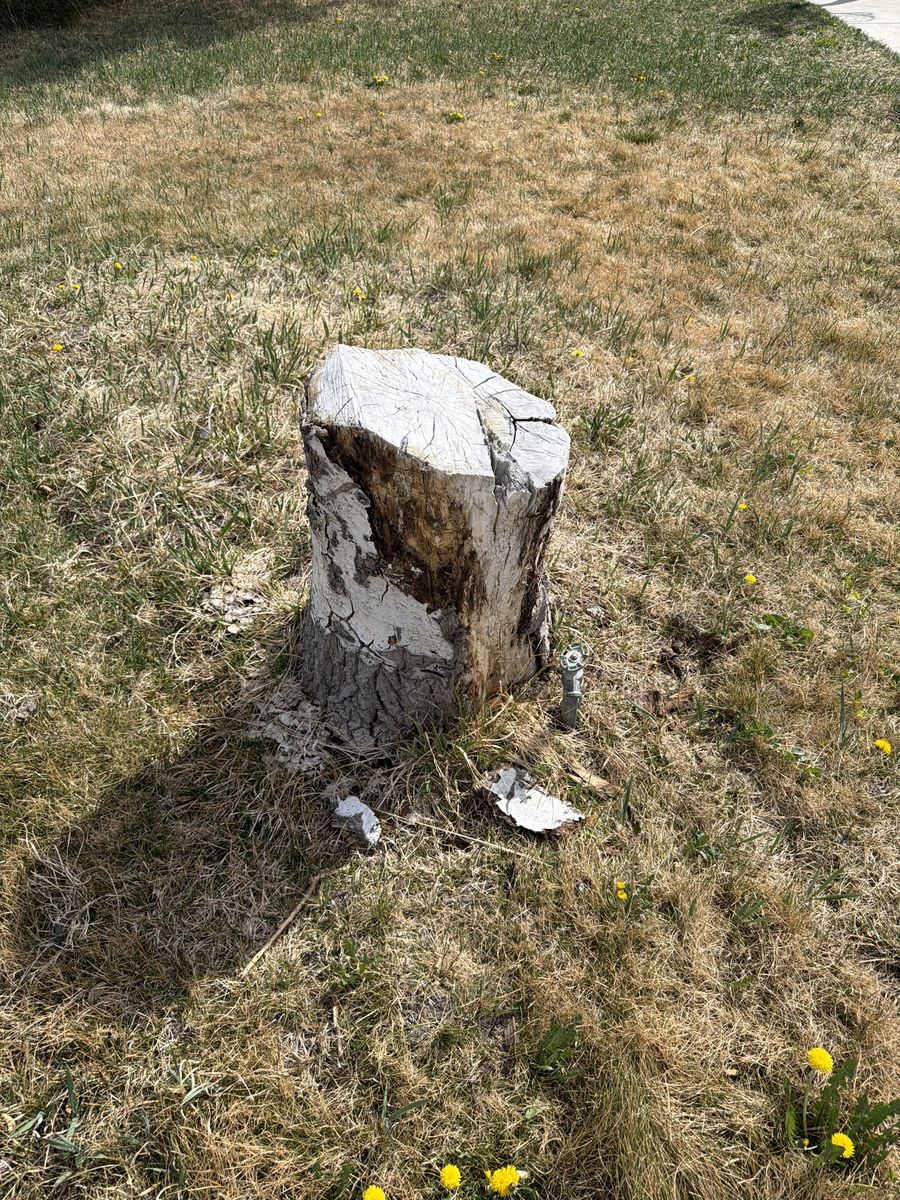 Main image 7