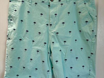 Mens 38 Hudson & Barrow Print Shorts