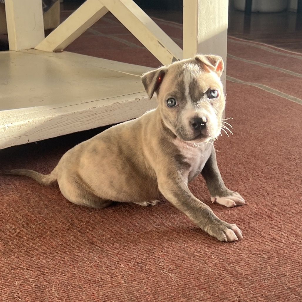 Hello my name is Oner