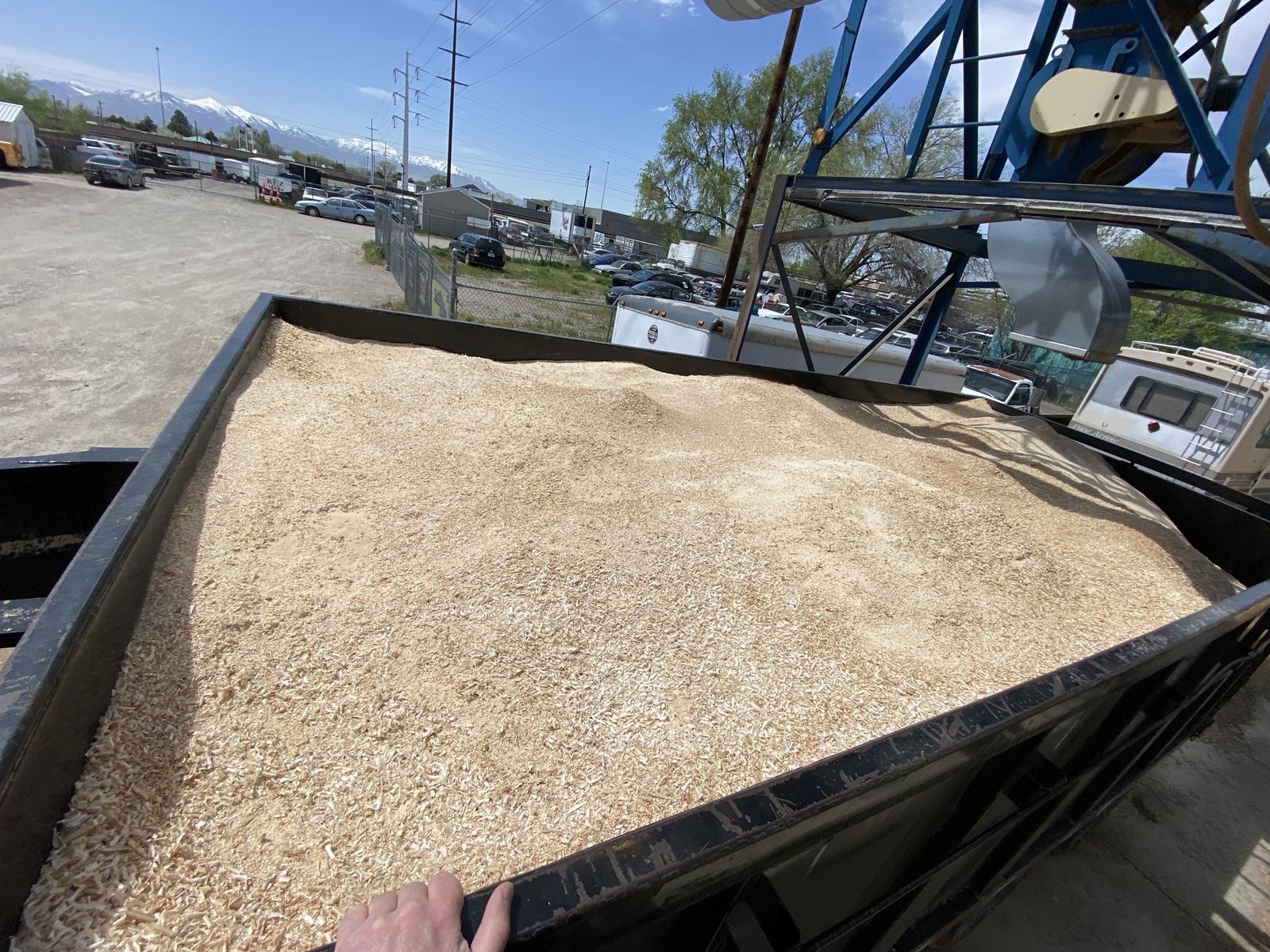 Wood Shavings/ Sawdust