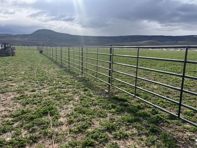 Continuous Fence 6 Rail x 1-1/4" x 48"