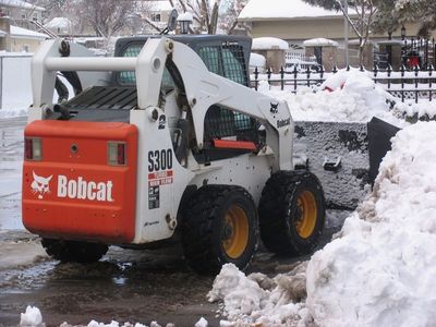 S300 Bobcat Skidster