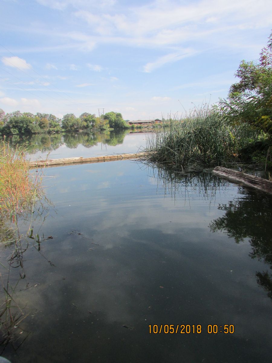 Main image 9