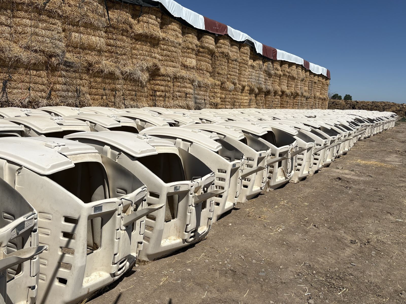 Calf Hutches