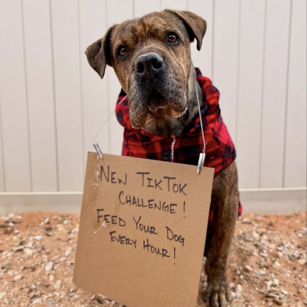 Hello my name is Bug