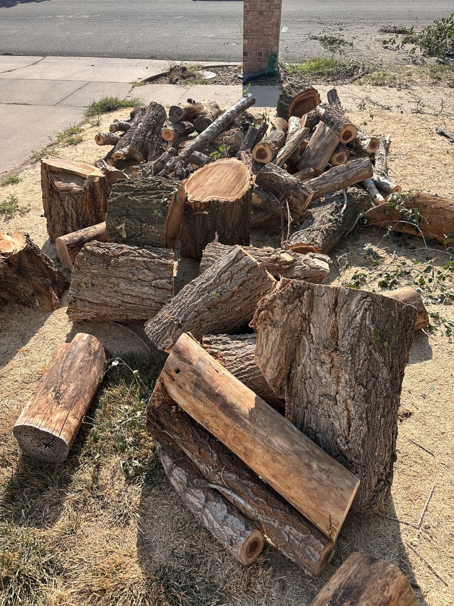 Free wood