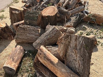Free wood