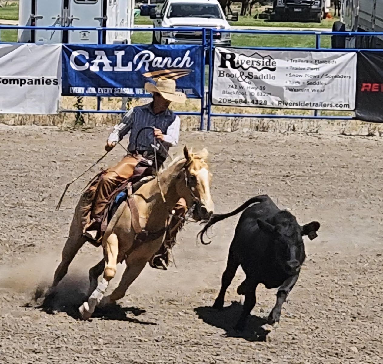 Head And Heel Horse All Around