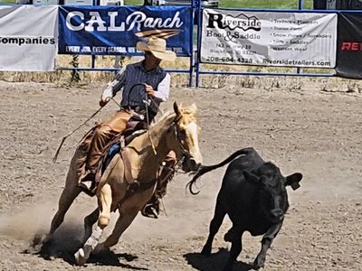 Head And Heel Horse All Around