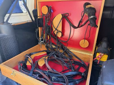 Leather Horse Harness Set with Wooden Carrying Case