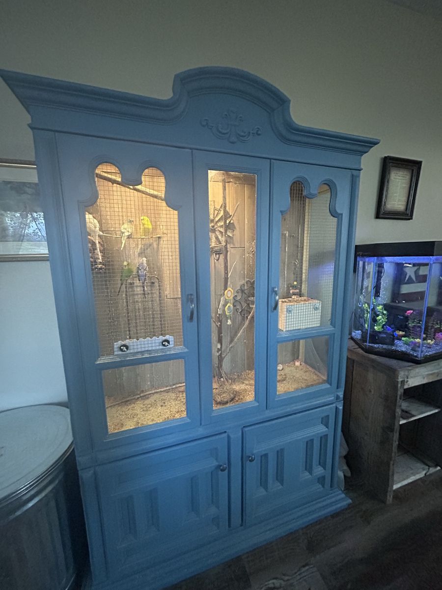 Beautiful Bird cage with parakeets