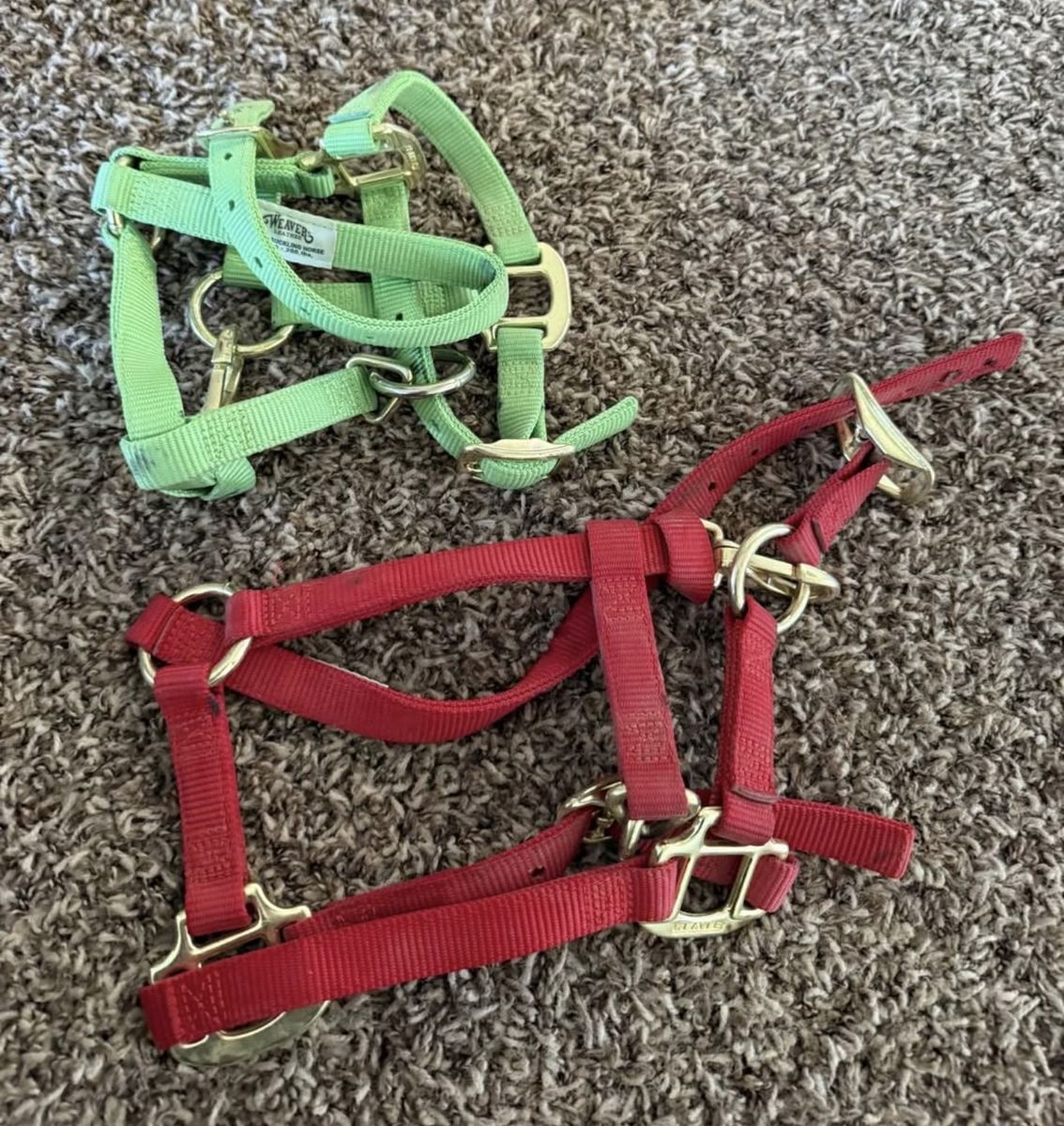 Weaver Mini / Foal Halters