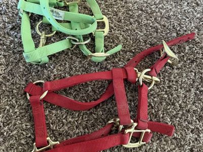 Weaver Mini / Foal Halters